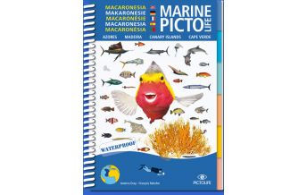 Diving / Snorkeling Pictolife Marine - Makaronesie Pictolife