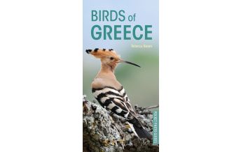 Nature and Wildlife Guides Birds of Greece Bloomsbury Publishing