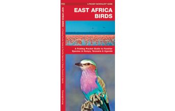 Nature and Wildlife Guides A folding Pocket Guide to familiar Species - East Africa Birds Waterford press