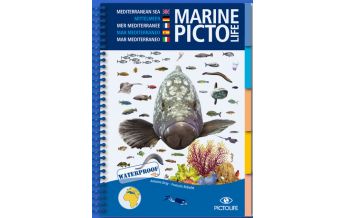 Diving / Snorkeling Pictolife Marine - Mittelmeer Pictolife