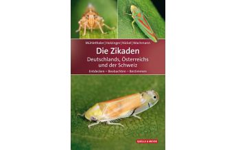 Naturführer Die Zikaden Deutschlands, Österreichs und der Schweiz Quelle & Meyer Verlag
