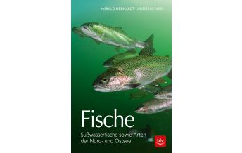 Tauchen / Schnorcheln Fische BLV Verlagsgesellschaft mbH