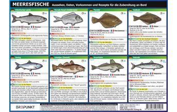 Ausbildung und Praxis Info-Tafel-Set Meeresfische Dreipunkt Verlag