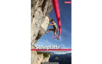 Sport Climbing Austria Kletterführer Steinplatte Panico Alpinverlag