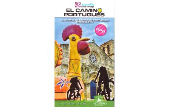 Cycling Guides El Camino portugués en bicicleta Petirrojo