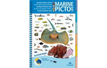 Tauchen / Schnorcheln Pictolife Marine - Asiatischer Pazifik Pictolife