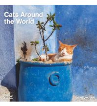 Calendars Cats Around the World 2025 - Wand-Kalender - Broschüren-Kalender - 30x30 - 30x60 geöffnet - Katzen-Kalender Neumann druck 