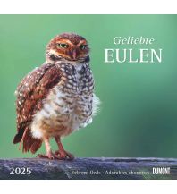 Calendars Geliebte Eulen 2025 - DUMONT Wandkalender - mit den wichtigsten Feiertagen - Format 38,0 x 35,5 cm DUMONT Kalenderverlag
