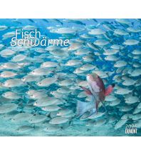 Kalender Fischschwärme 2025 – Unterwasser-Natur-Fotografie – Wandkalender 60 x 50 cm – Spiralbindung DUMONT Kalenderverlag