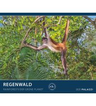 Calendars Regenwald 2025 - Bild-Kalender - Poster-Kalender - 60x50 Neumann druck 