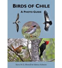 Naturführer Birds of Chile University Press of Princeton