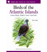 Nature and Wildlife Guides Birds of the Atlantic Islands Bloomsbury Publishing