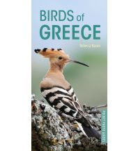 Nature and Wildlife Guides Birds of Greece Bloomsbury Publishing