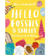 Kinderbücher und Spiele Hello Fossils & Shells Hachette UK