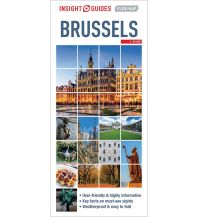 Stadtpläne Insight Flexi Map - Brussels 1:12.500 Apa Publications