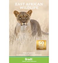 Travel Guides East African Wildlife Bradt Publications UK