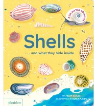 Kinderbücher und Spiele Shells... and what they hide inside Phaidon Press