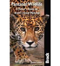 Travel Guides Bradt Guides - Pantanal Wildlife Bradt Publications UK