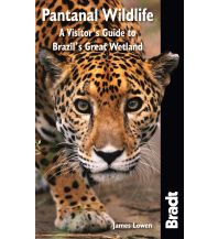 Travel Guides Bradt Guides - Pantanal Wildlife Bradt Publications UK