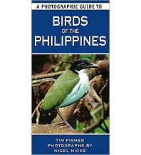 Naturführer Birds of the Philippines New Holland Publishers Limited