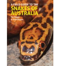 A Field Guide to the Snakes of Australia John Beaufoy Publishing