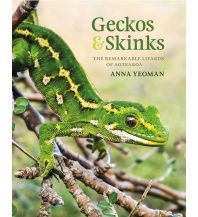 Outdoor Illustrated Books Geckos & Skinks Potton & Burton