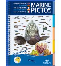 Tauchen / Schnorcheln Pictolife Marine - Mittelmeer Pictolife