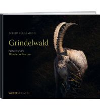 Outdoor Bildbände Grindelwald Weber-Verlag