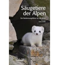 Naturführer Säugetiere der Alpen Verlag Paul Haupt AG