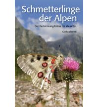 Naturführer Schmetterlinge der Alpen Verlag Paul Haupt AG