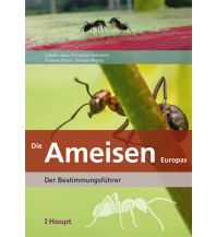 Naturführer Die Ameisen Europas Verlag Paul Haupt AG