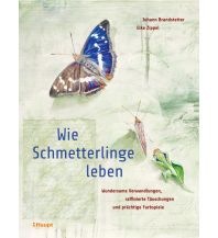 Nature and Wildlife Guides Wie Schmetterlinge leben Verlag Paul Haupt AG