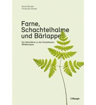 Farne, Schachtelhalme und Bärlappe Verlag Paul Haupt AG