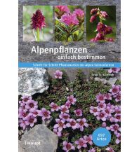 Naturführer Alpenpflanzen einfach bestimmen Verlag Paul Haupt AG