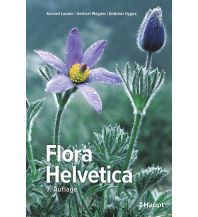Nature and Wildlife Guides Flora Helvetica - Illustrierte Flora der Schweiz Verlag Paul Haupt AG