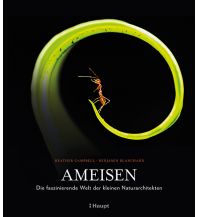 Naturführer Ameisen Verlag Paul Haupt AG
