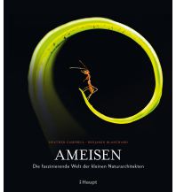 Nature and Wildlife Guides Ameisen Verlag Paul Haupt AG