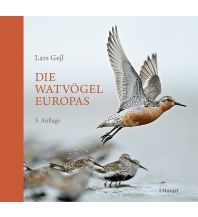 Naturführer Die Watvögel Europas Verlag Paul Haupt AG