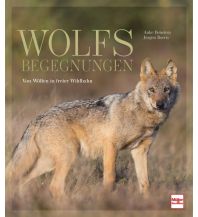 Wolfsbegegnungen Müller Rüschlikon Verlags AG