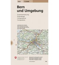 2502 Bern und Umgebung Bundesamt für Landestopographie