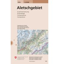 Wanderkarten Schweiz & FL Landeskarte der Schweiz 2516, Aletschgebiet 1:25.000 Bundesamt für Landestopographie