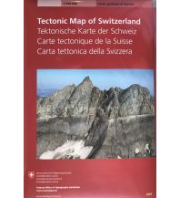 Geology and Mineralogy Tektonische Karte der Schweiz 1:500.000 Bundesamt für Landestopographie