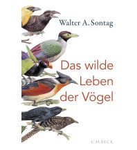 Nature and Wildlife Guides Das wilde Leben der Vögel Beck'sche Verlagsbuchhandlung