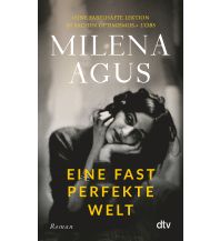 Reiselektüre Eine fast perfekte Welt DTV Deutscher Taschenbuch Verlag