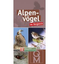 Nature and Wildlife Guides Alpenvögel im Vergleich Quelle & Meyer Verlag