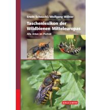 Nature and Wildlife Guides Taschenlexikon der Wildbienen Mitteleuropas Quelle & Meyer Verlag