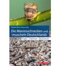 Die Meeresschnecken und -muscheln Deutschlands Quelle & Meyer Verlag