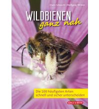 Nature and Wildlife Guides Wildbienen ganz nah Quelle & Meyer Verlag