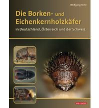 Naturführer Die Borken- und Eichenkernholzkäfer Quelle & Meyer Verlag