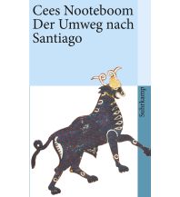 Der Umweg nach Santiago Suhrkamp Verlag